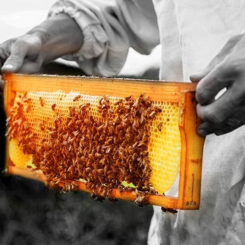 Vallentine's Honey 250g - Vallentine's