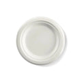 15cm (6”) Round BioCane Plate - Each-CATERING IN MELBOURNE-FIG-iPantry-australia