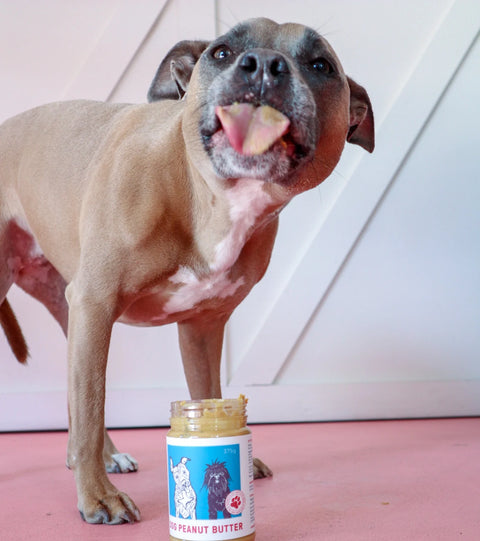 Byron Bay Peanut Butter Co Dog Peanut Putter | 375g