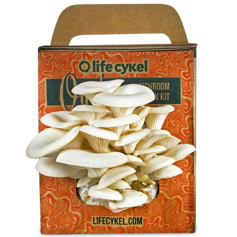 Life Cykel Grow Kit Oyster Mushroom