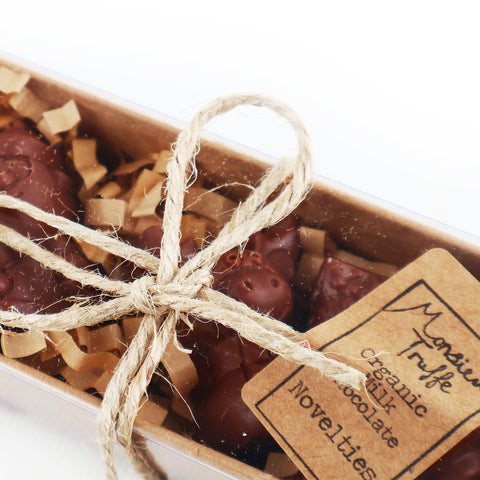 Monsieur Truffe 32% Milk Chocolate Novelties | 60g