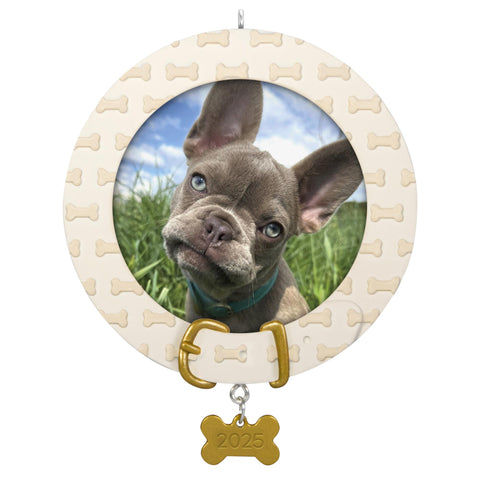 Hallmark Faithful Friend Dog Photoholder Ornament