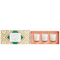 Palm Beach Candle Trio Collection-Palm Beach Collection-iPantry-australia