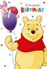 Disney - Winnie the Pooh Its somebody's Birthday - Hallmark